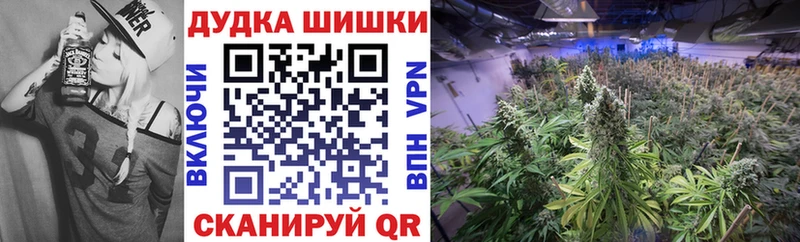 Конопля OG Kush  купить  цена  Сорск 